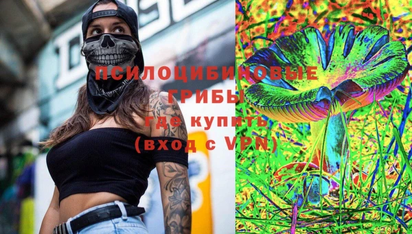 стафф Абинск