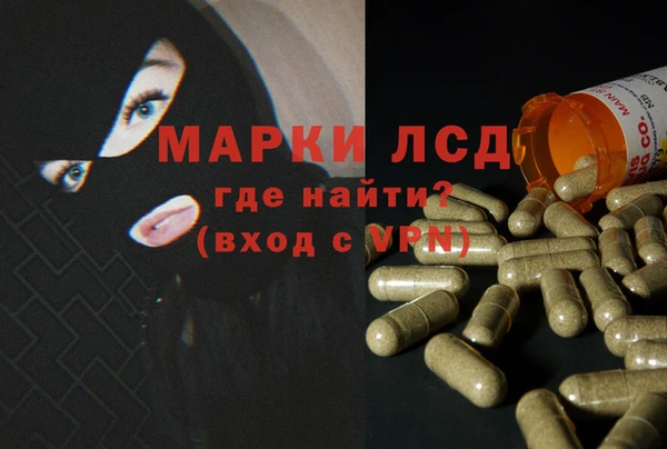 стафф Абинск