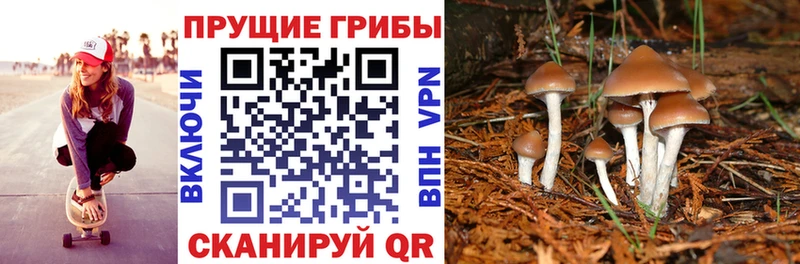 Псилоцибиновые грибы MAGIC MUSHROOMS  MEGA tor  Таштагол  что такое  